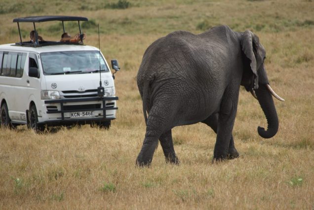 12-Day Luxury Kenyan Safari