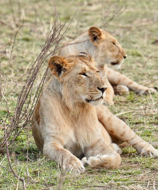 6 Days Rift Valley Explorer Safari