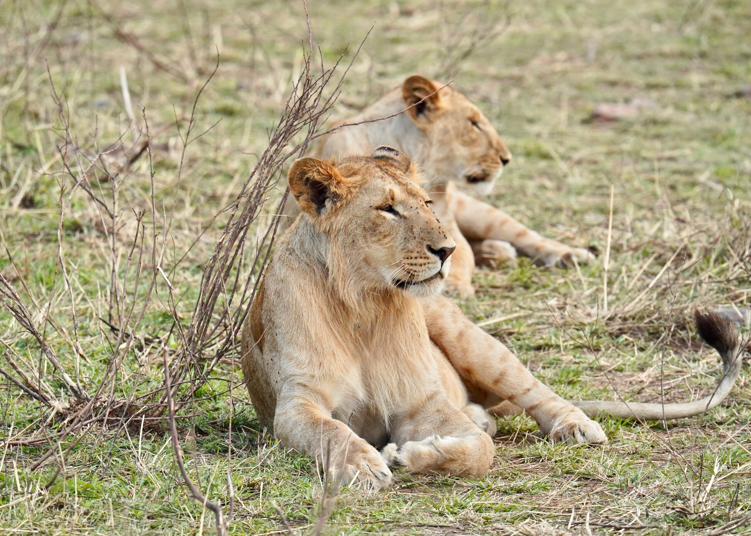 6 Days Rift Valley Explorer Safari